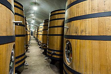 《黎明杀机》直播解禁！ 新章节《邪恶恩典》开放测试